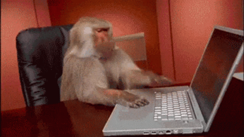 Monkey developer at work